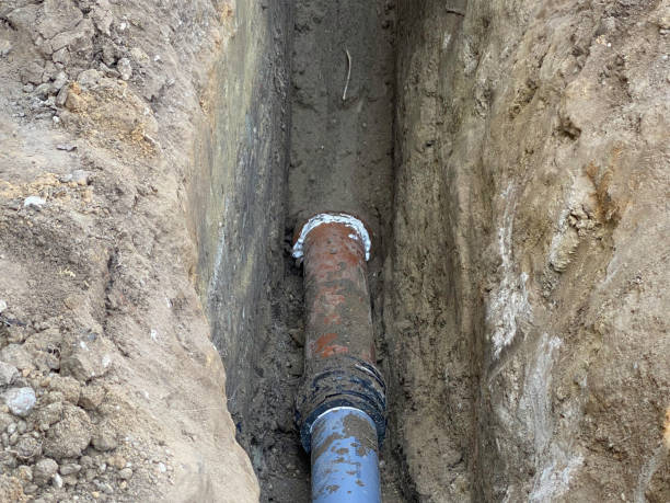 Best Flood damage cleanup  in Ceredo, WV