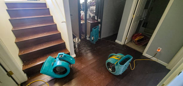 Best Professional water damage repair  in Ceredo, WV