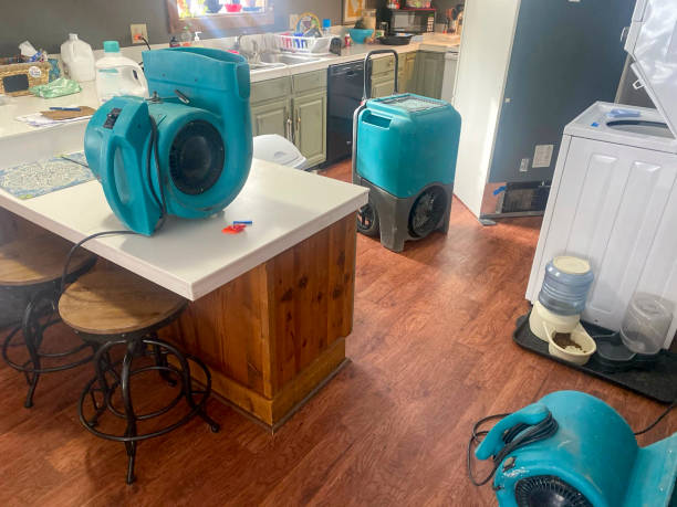 Best Water damage cleanup near me  in Ceredo, WV