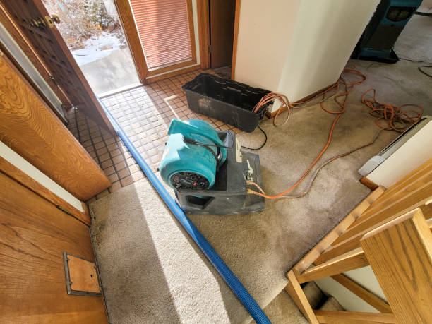 Best Sewage cleanup and water damage restoration  in Ceredo, WV