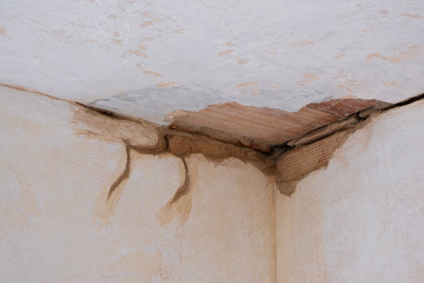 Best Flooded house restoration  in Ceredo, WV