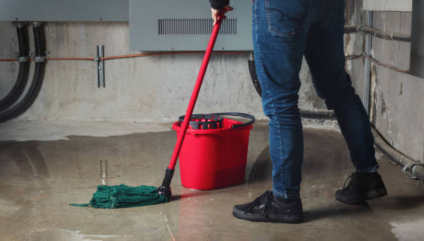 Best Water damage restoration near me  in Ceredo, WV