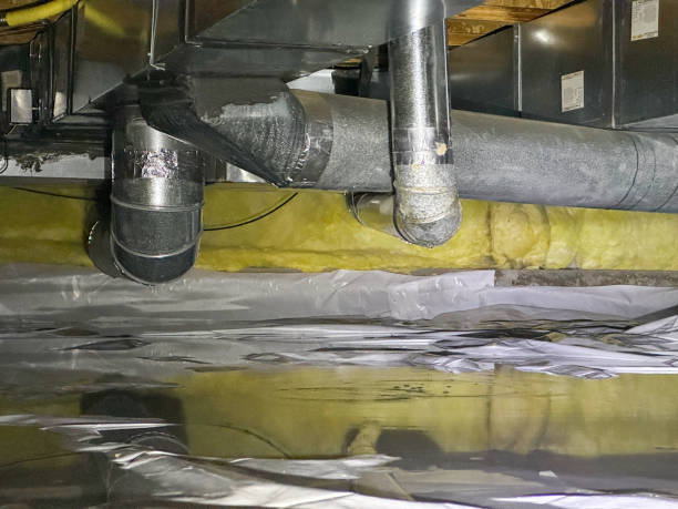 Best Water damage restoration services  in Ceredo, WV