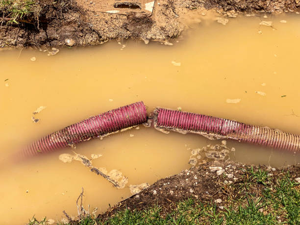 Best 24-hour water damage restoration  in Ceredo, WV