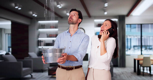Best Fire Damage Restoration  in Ceredo, WV